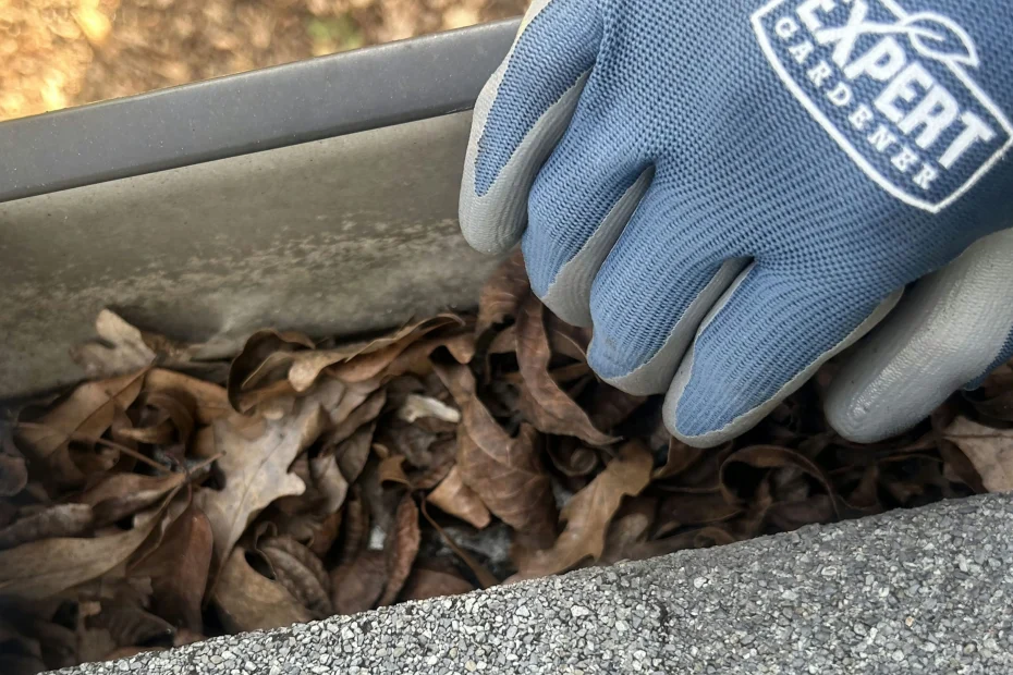 Gutter Cleaning Buford GA