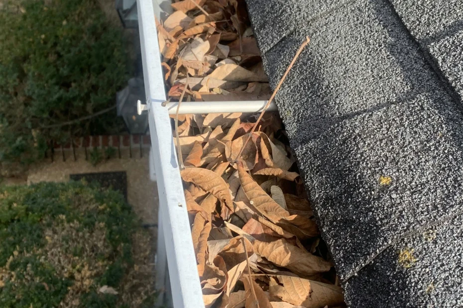 Gutter Cleaning Buford GA