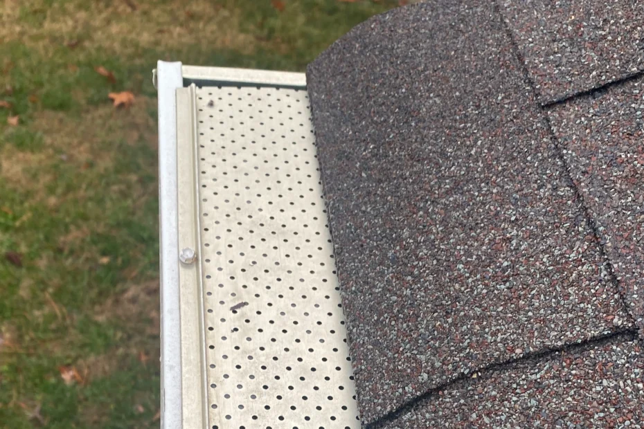 Gutter Cleaning Buford GA